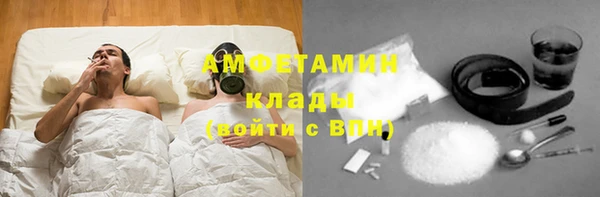 гашик Пестово