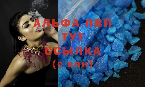 сатива Абаза