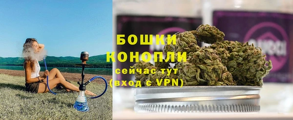 сатива Абаза