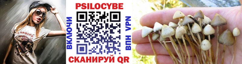 Псилоцибиновые грибы Psilocybe  Рассказово 